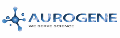 aurogene_logo_transparent